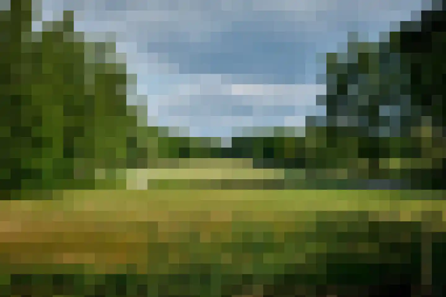 Patrijslaan 9 Best thumbnail 47