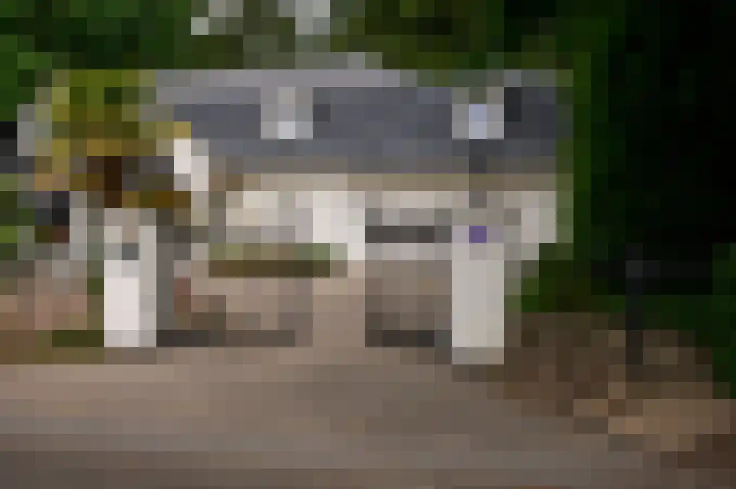 Patrijslaan 9 Best thumbnail 48