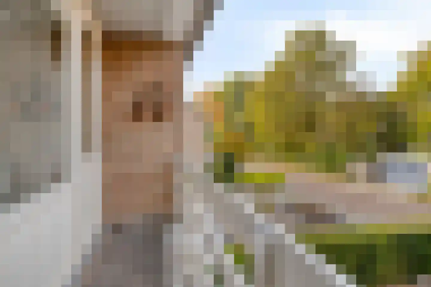 Patrijsstraat 1 Made thumbnail 22