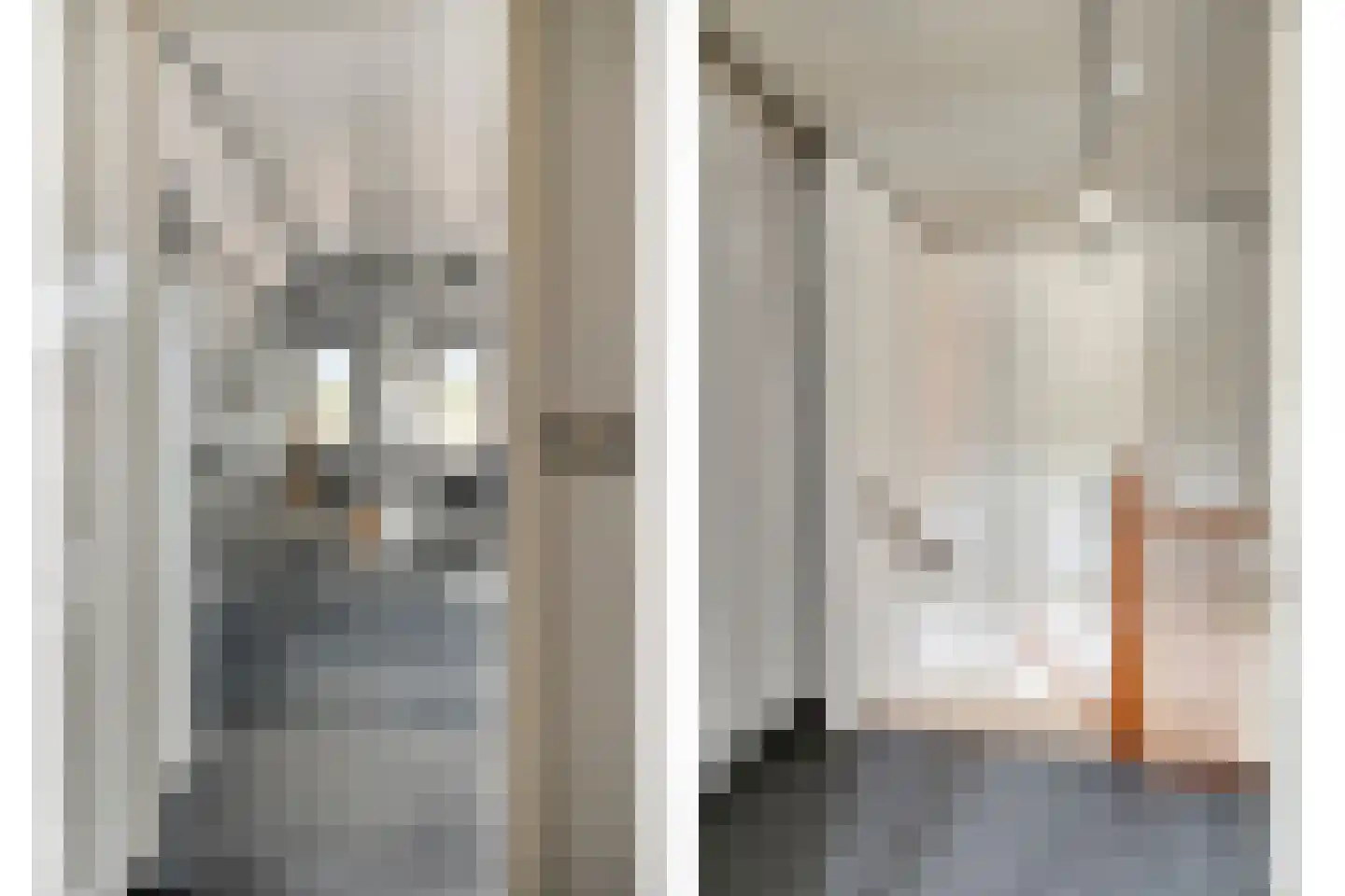 Patrijsstraat 1 Made thumbnail 28