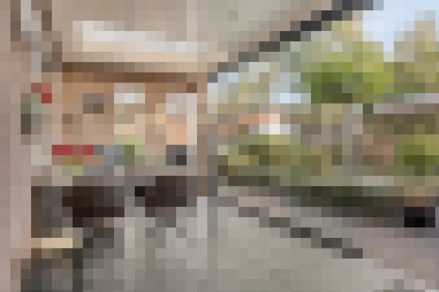 Patrijsstraat 1 Made thumbnail 32