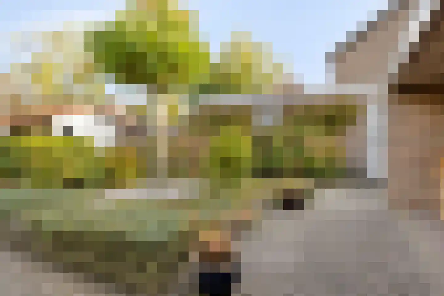 Patrijsstraat 1 Made thumbnail 34