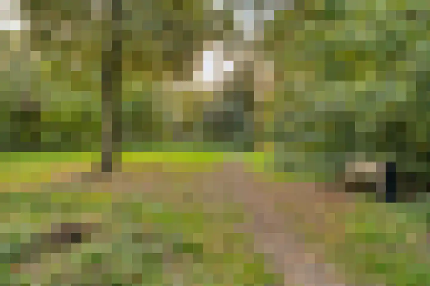 Patrijsstraat 1 Made thumbnail 46