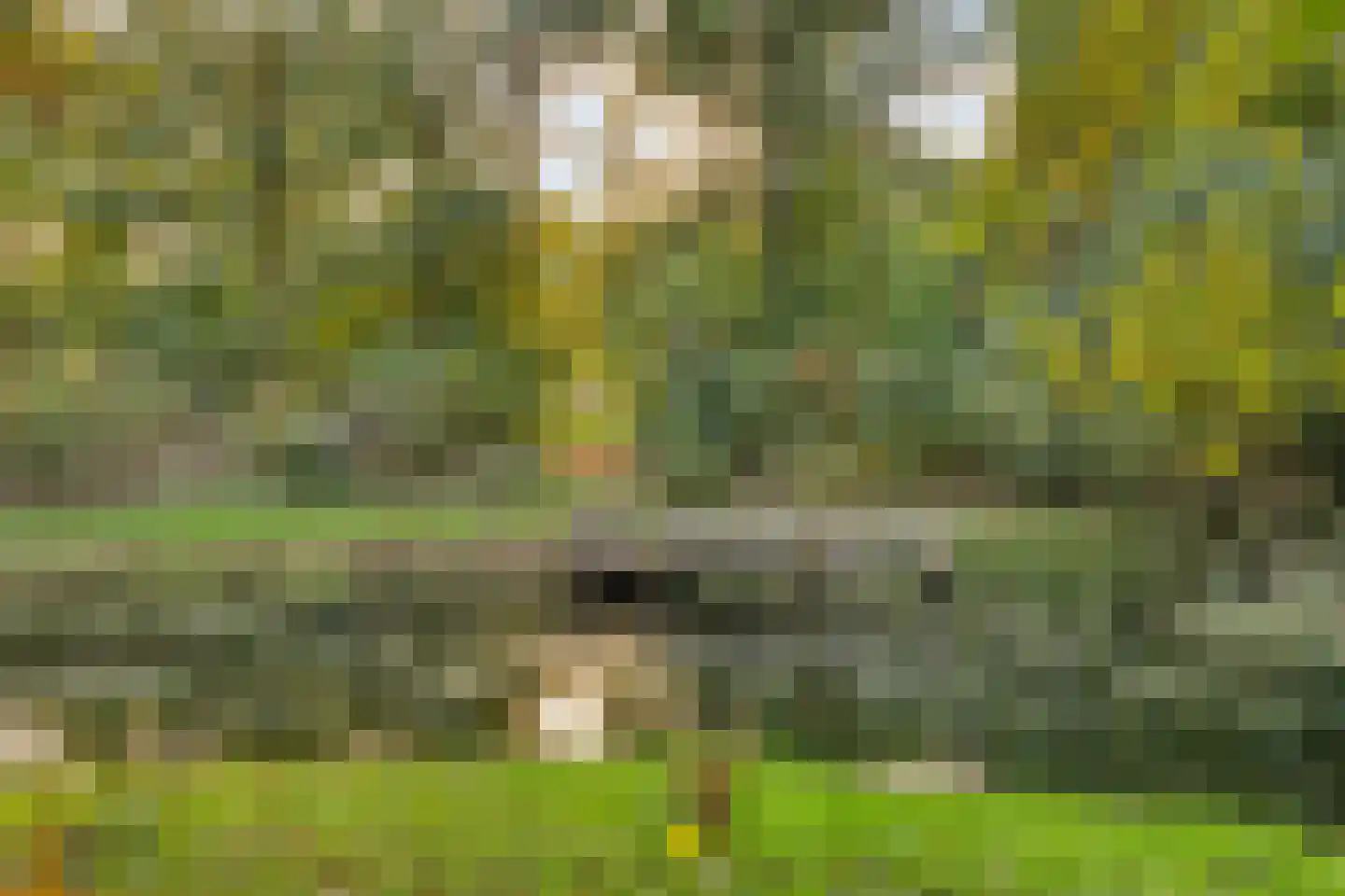 Patrijsstraat 1 Made thumbnail 47