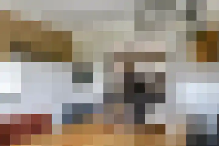 Patrijsstraat 10 Driel thumbnail 24