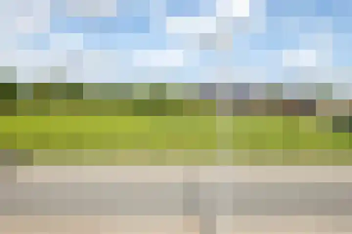 Patrijsstraat 10 Driel thumbnail 38