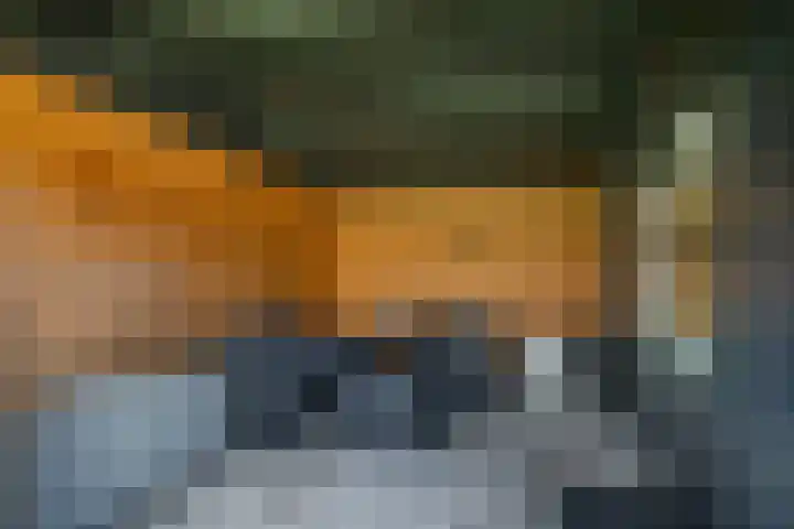 Patrijsstraat 10 Driel thumbnail 59