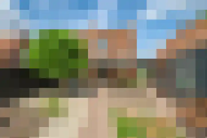 Patrijsstraat 10 Driel thumbnail 66