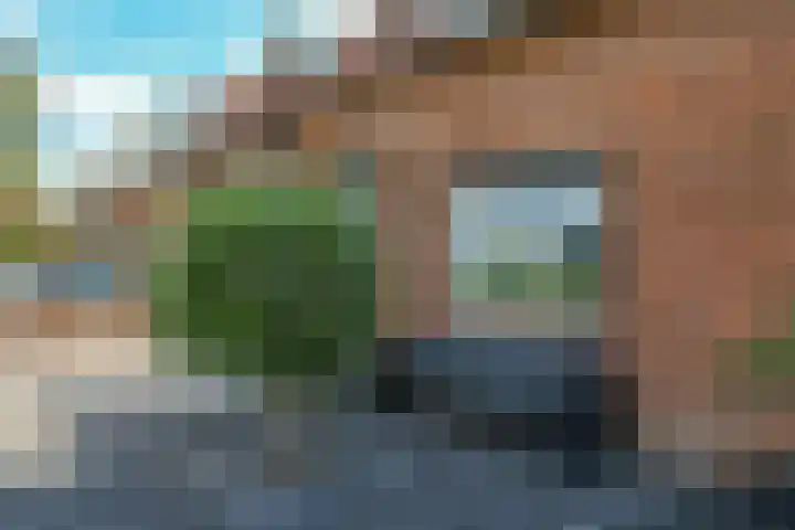 Patrijsstraat 10 Driel thumbnail 71