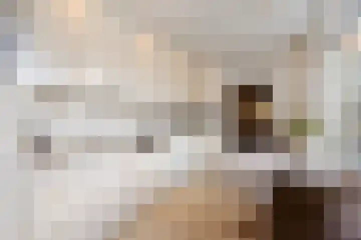 Patrijsstraat 24 Wijchen thumbnail 10
