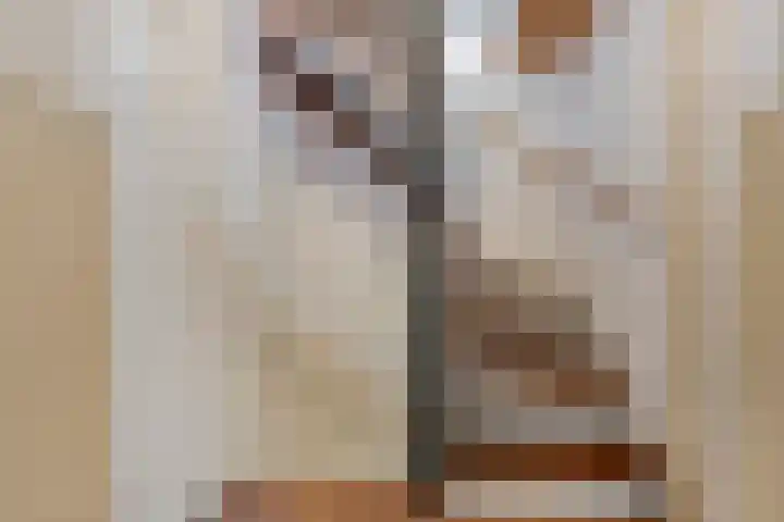 Patrijsstraat 24 Wijchen thumbnail 21
