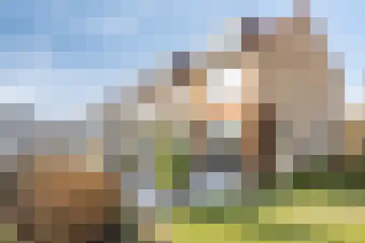Patrijsstraat 24 Wijchen thumbnail 25