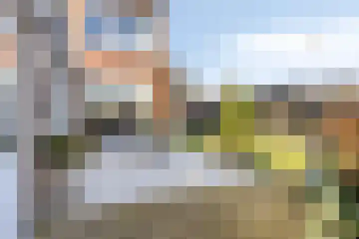 Patrijsstraat 24 Wijchen thumbnail 26