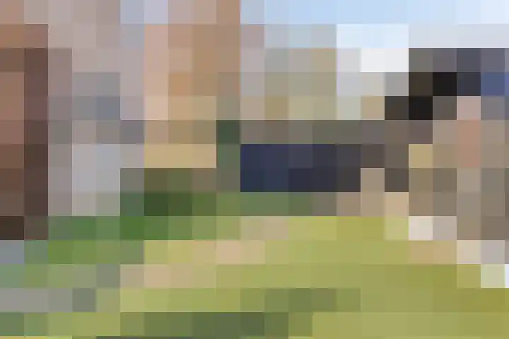 Patrijsstraat 24 Wijchen thumbnail 27