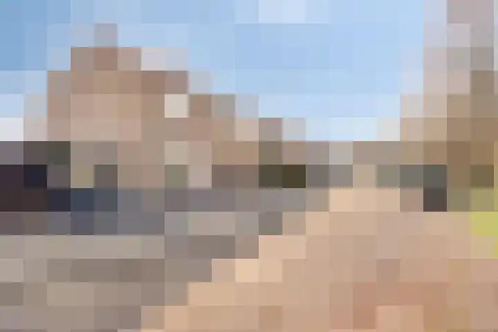 Patrijsstraat 24 Wijchen thumbnail 36