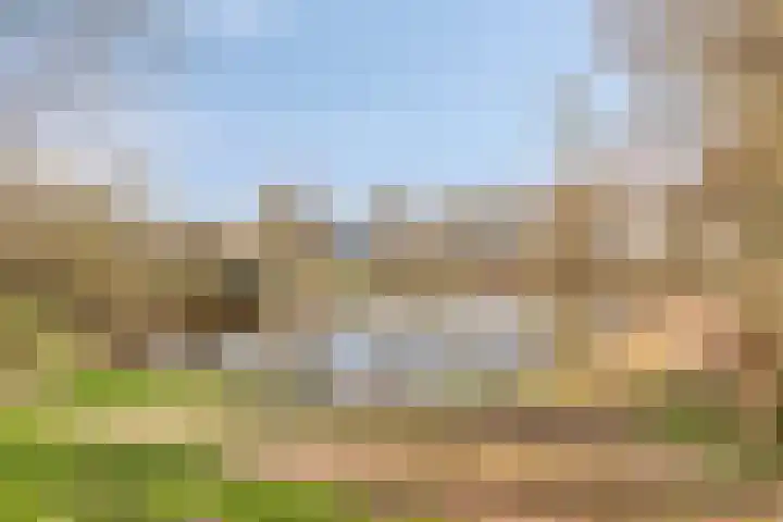 Patrijsstraat 24 Wijchen thumbnail 38