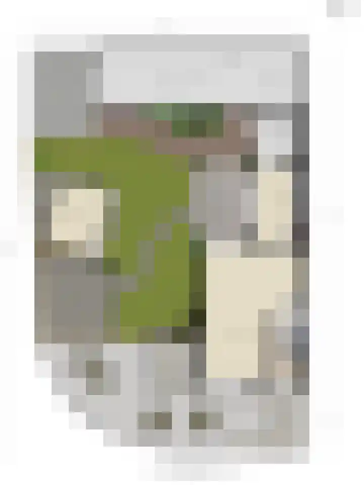 Patrijsstraat 24 Wijchen thumbnail 44