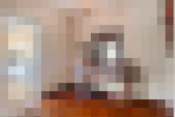 Patrijsstraat 24 Wijchen thumbnail 8