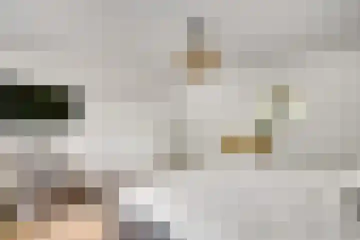 Patrijsstraat 6 Geleen thumbnail 16