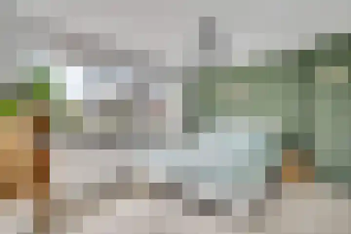 Patrijsstraat 6 Geleen thumbnail 17