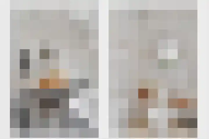 Patrijsstraat 6 Geleen thumbnail 5