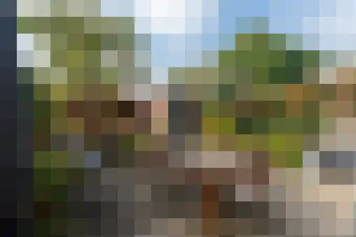 Patrijsstraat 8 Beek thumbnail 25