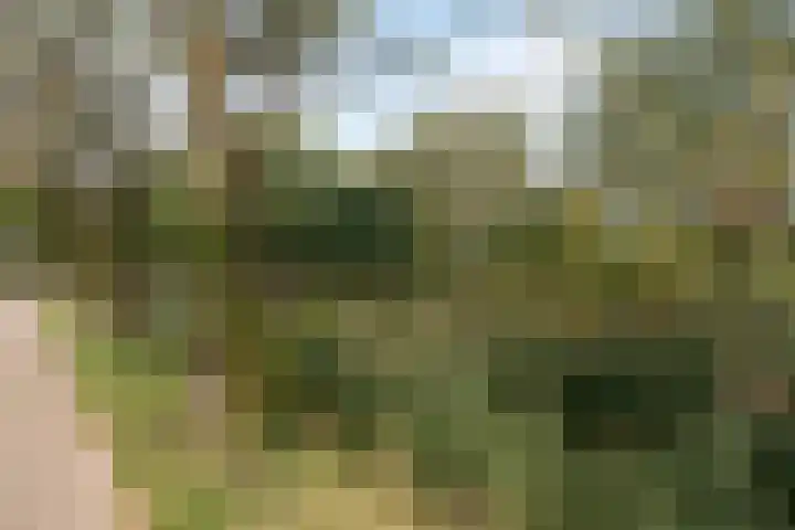 Patrijsstraat 8 Beek thumbnail 30