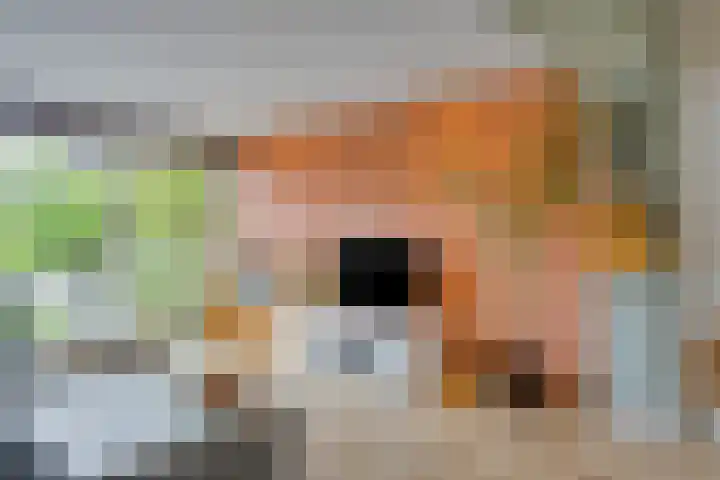 Patrijsweg 10 Epe thumbnail 10