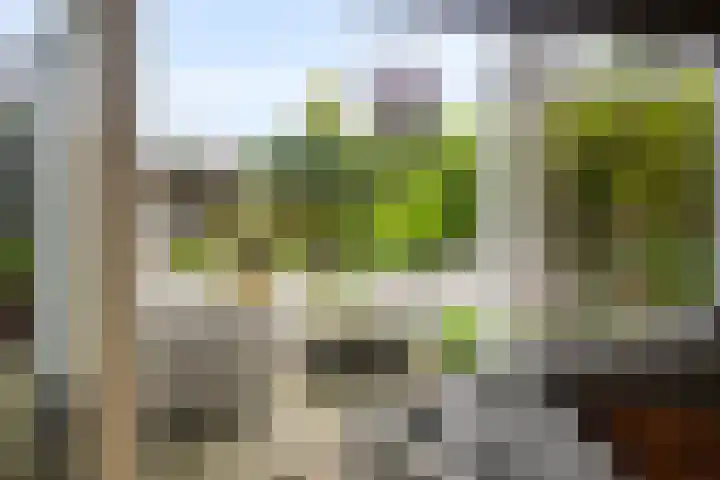 Patrijsweg 10 Epe thumbnail 12