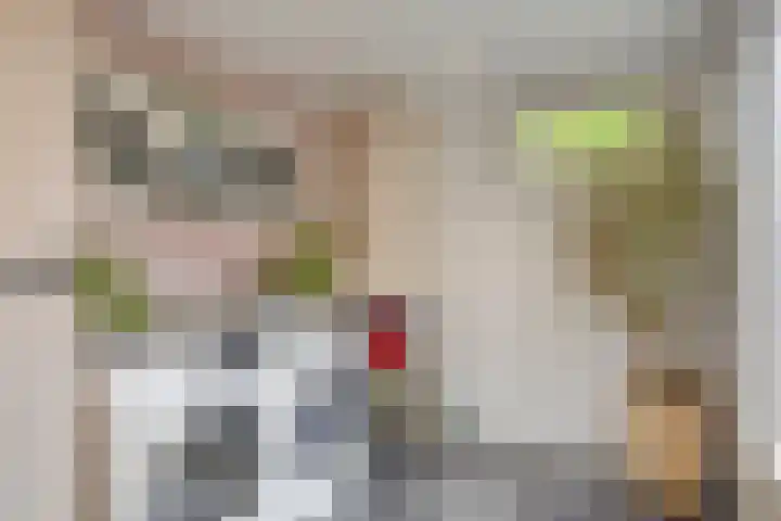 Patrijsweg 10 Epe thumbnail 14