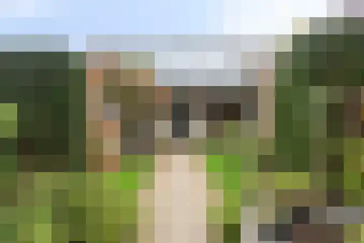Patrijsweg 10 Epe thumbnail 26