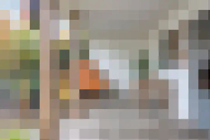 Patrijsweg 10 Epe thumbnail 29
