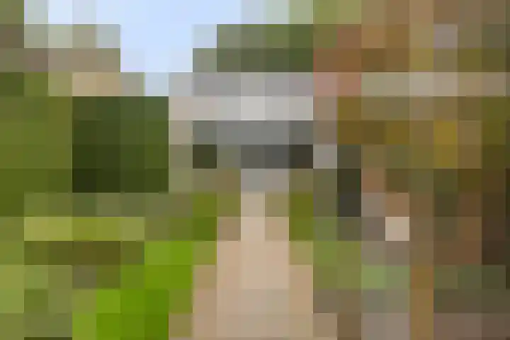 Patrijsweg 10 Epe foto 3