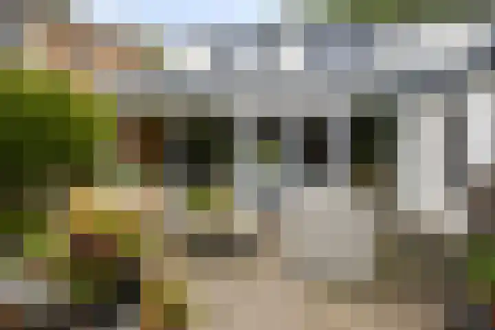 Patrijsweg 10 Epe thumbnail 31