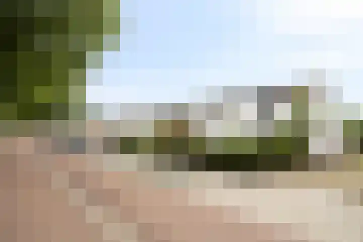 Patrijsweg 10 Epe thumbnail 32