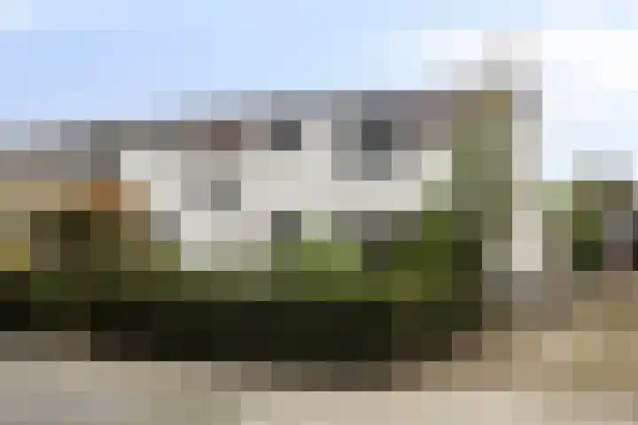 Patrijsweg 10 Epe thumbnail 33
