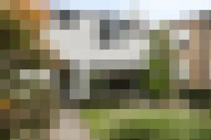 Patrijsweg 10 Epe thumbnail 34