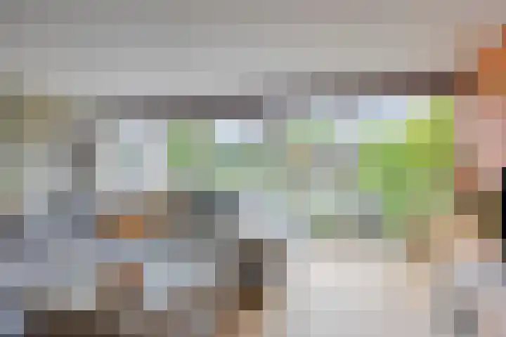 Patrijsweg 10 Epe thumbnail 9