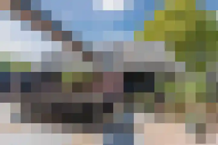 Patrijzenveld 21 Cuijk thumbnail 11