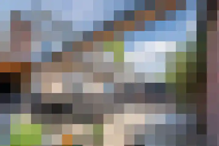 Patrijzenveld 21 Cuijk thumbnail 27