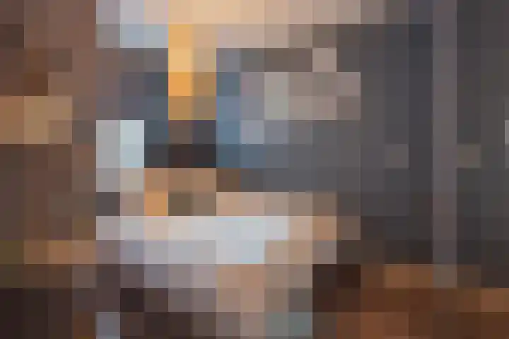 Patronaat 7 Horst thumbnail 15