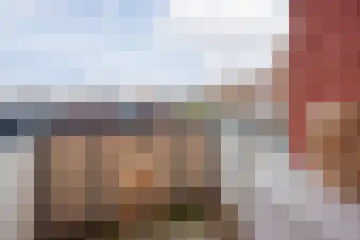 Patronaat 7 Horst thumbnail 17
