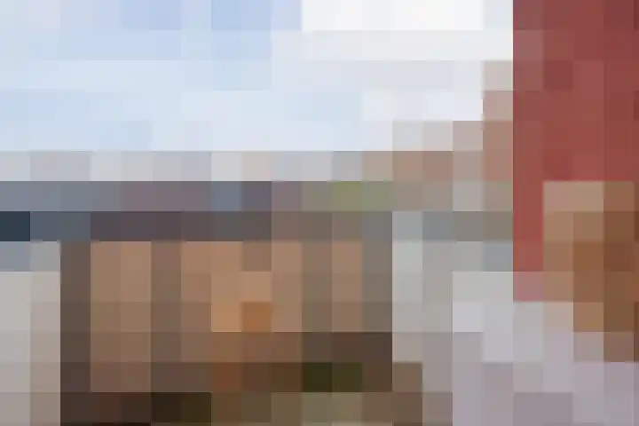 Patronaat 7 Horst thumbnail 6