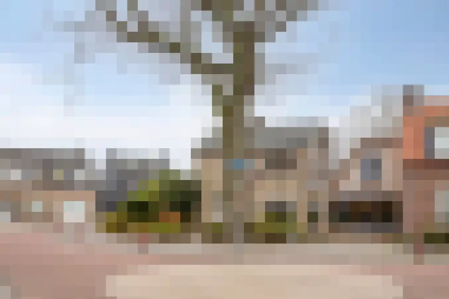 Patronaatstraat 36 A Made thumbnail 5