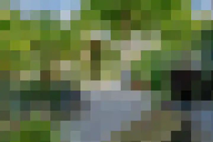 PC Hooftstraat 30 Zevenaar thumbnail 4
