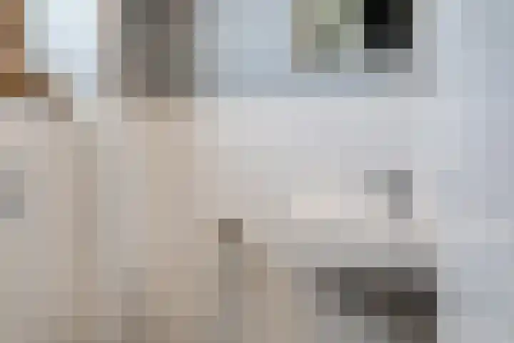 PC Hooftstraat 71 Zevenaar thumbnail 8