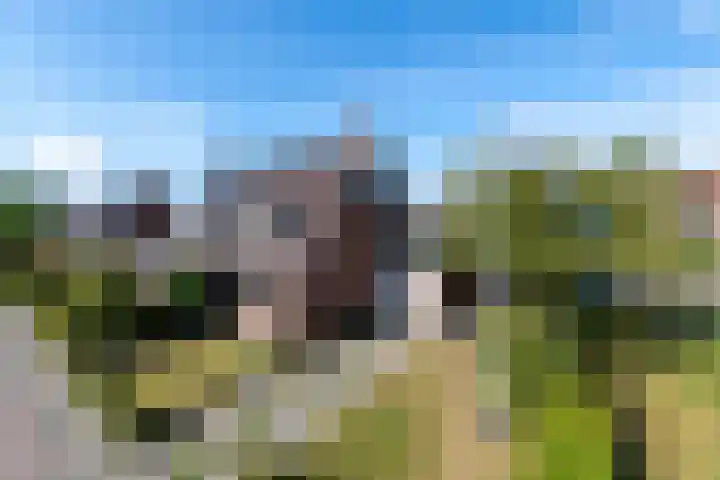 Pealskar 16 in Joure