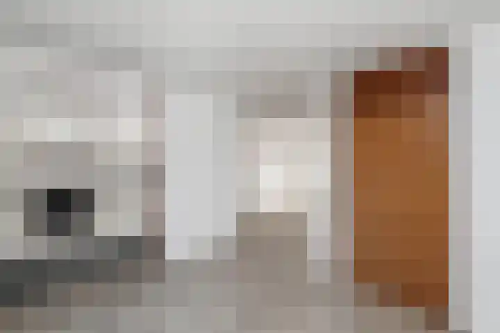 Pealskar 16 Joure thumbnail 11