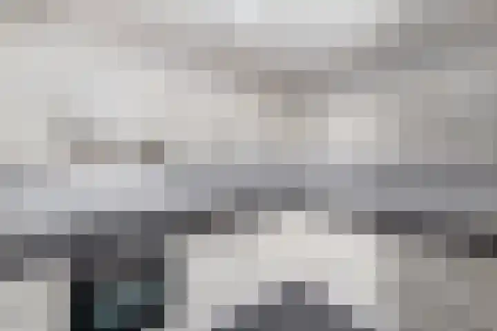 Pealskar 16 Joure thumbnail 12