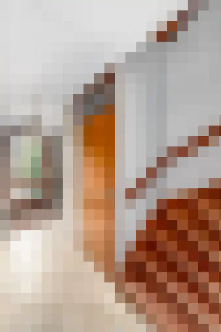 Pealskar 16 Joure thumbnail 16
